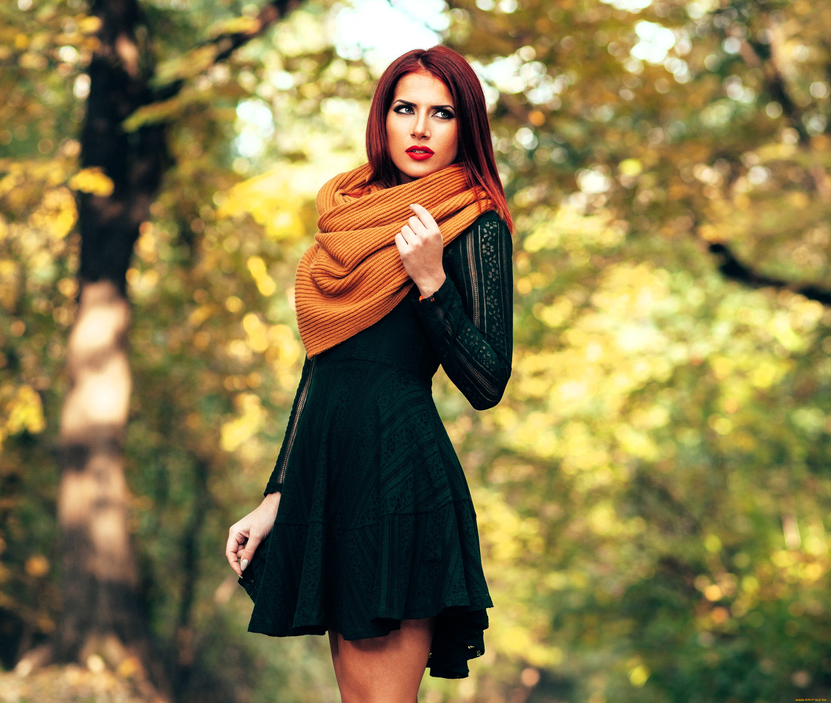 �������, - ����������� � ������������, �������, ������, ����, ������, �������